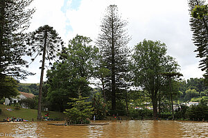 Thermalbad vom Park Terra Nostra in Furnas auf Sao Miguel