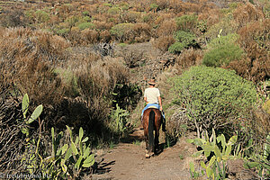 einsamer Reiter im Barranco de Santiago