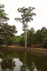 Ein Wasserbecken bei Angkor Thom in Kambodscha