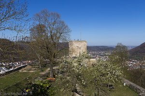 Frühling auf der Burg Helfenstein