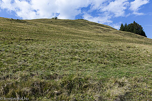 Aufstieg zum Ofterschwanger Horn