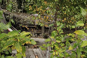 Auch dieser Trümmerhaufen war einst eine Hütte der Ray Farm.