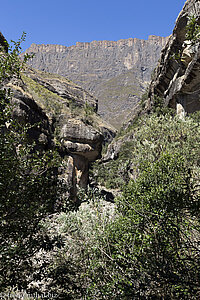 am Tugela Fluss im Royal Natal Nationalpark