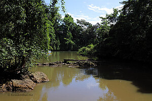 Mündungsbereich des Río Agujitas