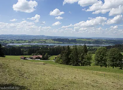 Wanderung auf die Ellegghöhe