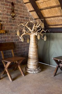 kleiner Baobab in der Masorini Bush Lodge