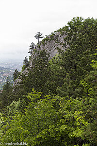 Felsen beim Tampa Sattel in Kronstadt