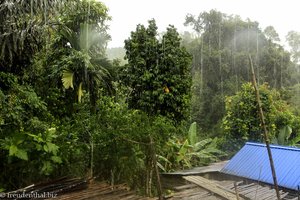 Monsun in Borneo bei den Iban