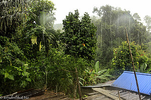 Monsun in Borneo bei den Iban