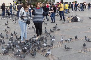 Tauben füttern ist eine beliebte Freizeitbeschäftigung in Bogota