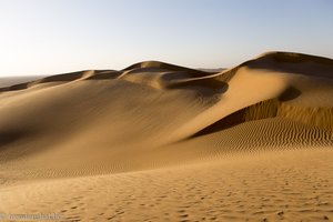 in der Sandwüste Rub al Khali im Oman