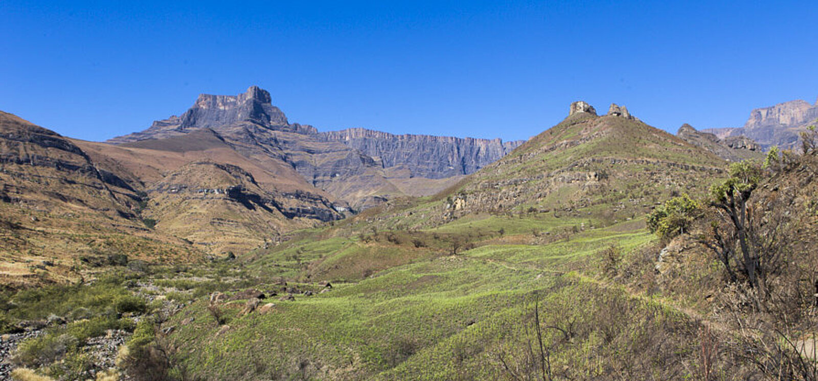 Aussicht über den Tugela Gorge zum Amphitheater im Royal Natal Nationalpark in Südafrika