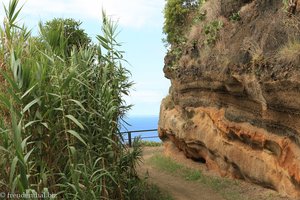 Felsen Jogo da Bola an der Steilküste von Sao Miguel