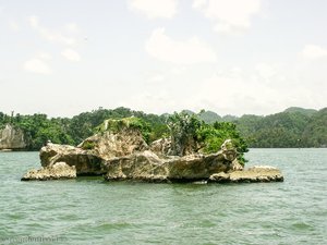 schroffe Insel im Nationalpark Los Haitises