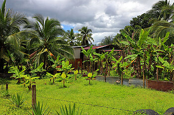 Boca San Carlos