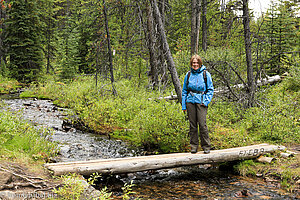 Wanderung im Jasper Nationalpark