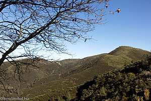 Berglandschaft in Kalifornien