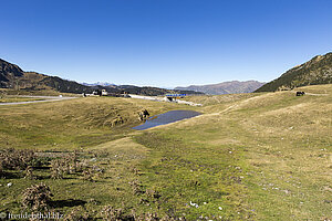 beim Gebirgspass Port de la Bonaigua