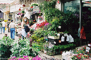 Blumenmarktstraße in Kowloon