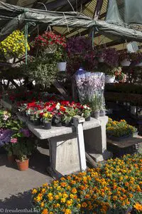 Piata Cibin – der Blumen- und Lebensmittelmarkt von Hermannstadt