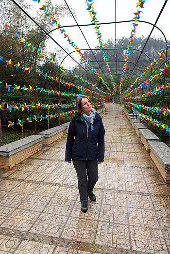 Zugang zu den Bản‑Giốc‑Wasserfällen in Nordvietnam