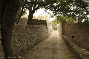 Zufahrt zur Ermita de la Trinitat