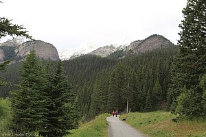 Wir wandern vom Lake Louise zum Lake Agnes