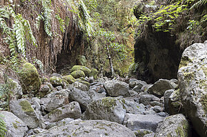 Im Barranco del Agua liegen bis zu mannshohe Felsbrocken herum.