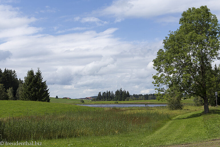 Luimooser Weiher