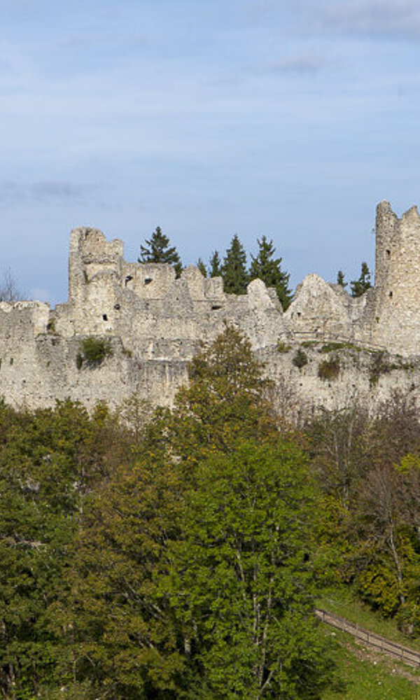 Hohenfreyberg