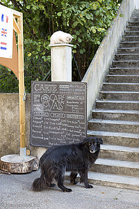 verliebter Hund bei Vals