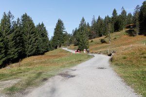 Wanderweg vom Ibergeregg zum Holzegg