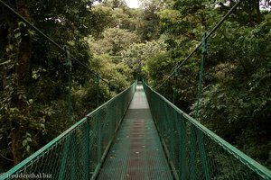 Gewaltige Hängebrücke über den Bäumen von Selvatura