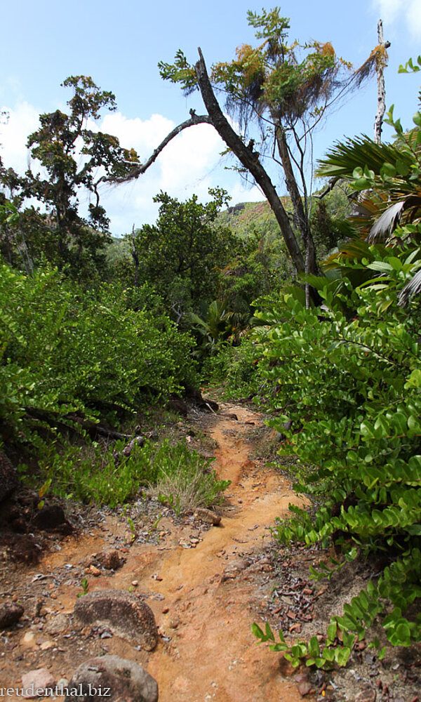 Wanderung zur Anse Georgette
