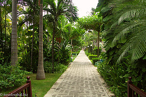 Riu Taino Village - Weg zu den Bungalows