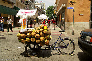 Kokosnusskiosk in Santo Domingo