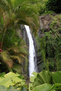 Die Concord Falls auf Grenada