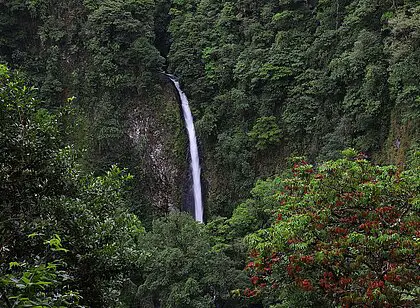 Treppentour zur Catarata Río Fortuna