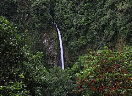 Treppentour zur Catarata Río Fortuna