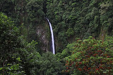 Die Catarata Río Fortuna am Fuße des ruhenden Cerro Chato-Vulkans