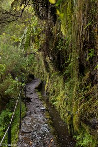 Wanderweg von Queimadas in den Grünen Kessel