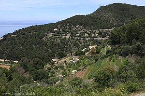 landwirtschaftliche Terrassen oberhalb von Banyalbufar