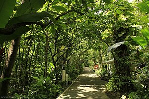 Diamond Botanical Garden bei Soufriere