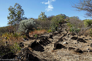 Aufstieg Aussichtspunkt Casela Nature Park