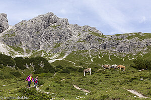 Die Oberstdorfer Hammerspitze