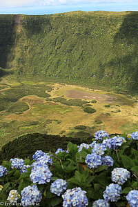 Blick in die große Caldeira von Faial