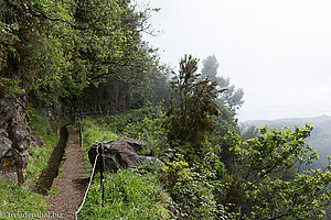 Wanderung entlang der Levada do Rei