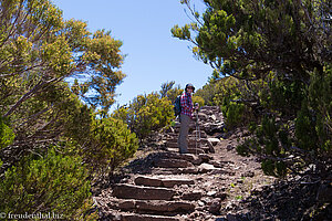 fast oben auf dem Pico Ruivo