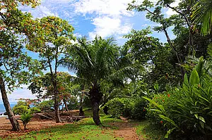 Wanderweg an der Playa Cocalita