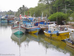 Negombo - Hafen